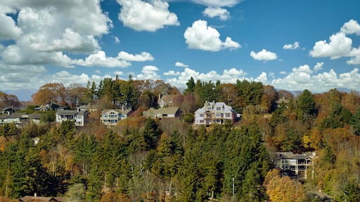 Aerial view of expensive american homes on hilltop in North Carolina mountains residential area. New family houses as example of real estate development in USA suburbs