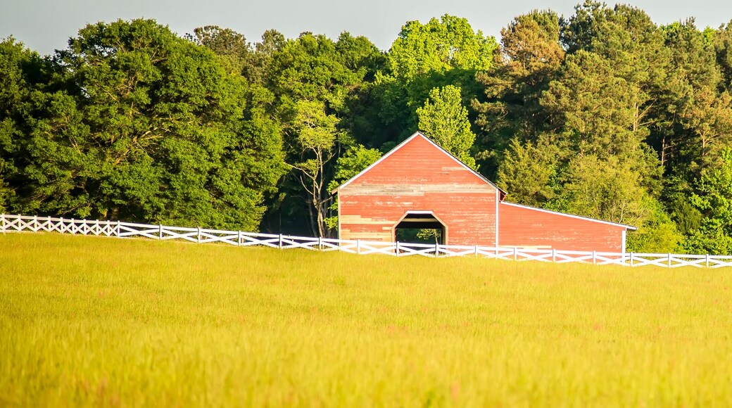 white fence leading up to a big red barn