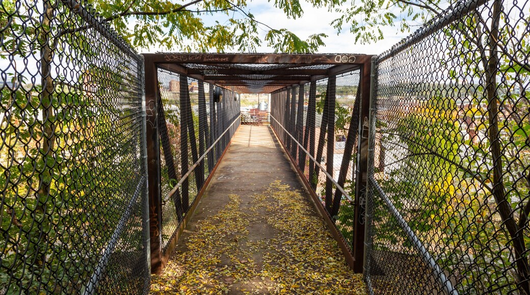 South Side Slopes which includes a bridge