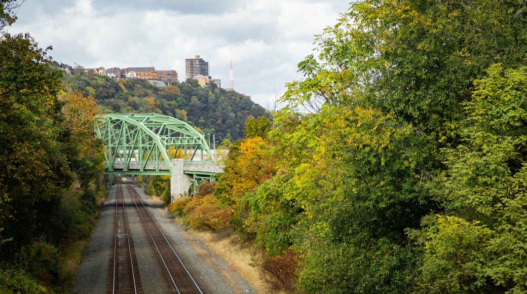 South Side Slopes featuring a bridge