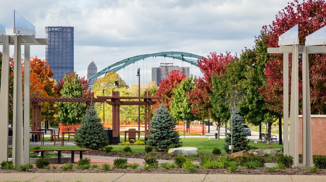 South Side Flats showing a garden