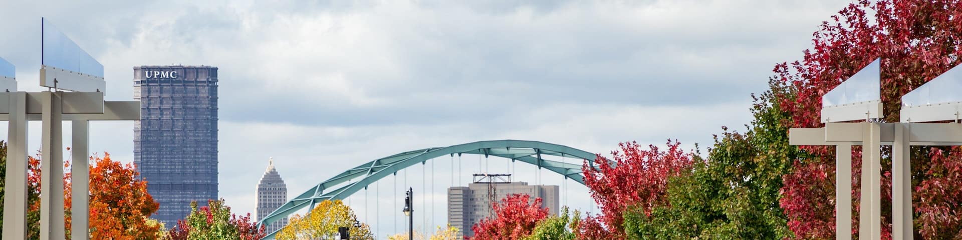 South Side Flats showing a garden