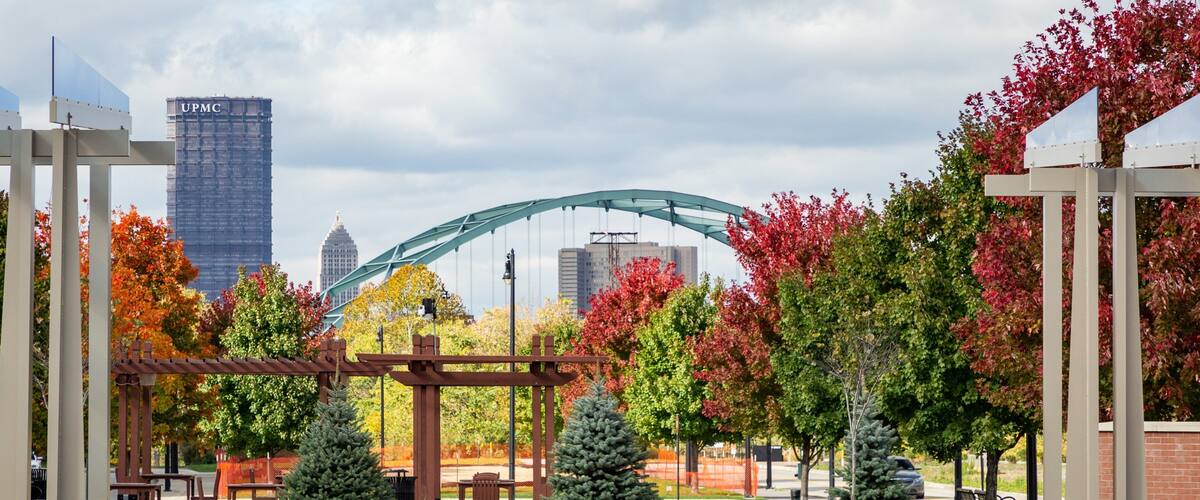 South Side Flats showing a garden