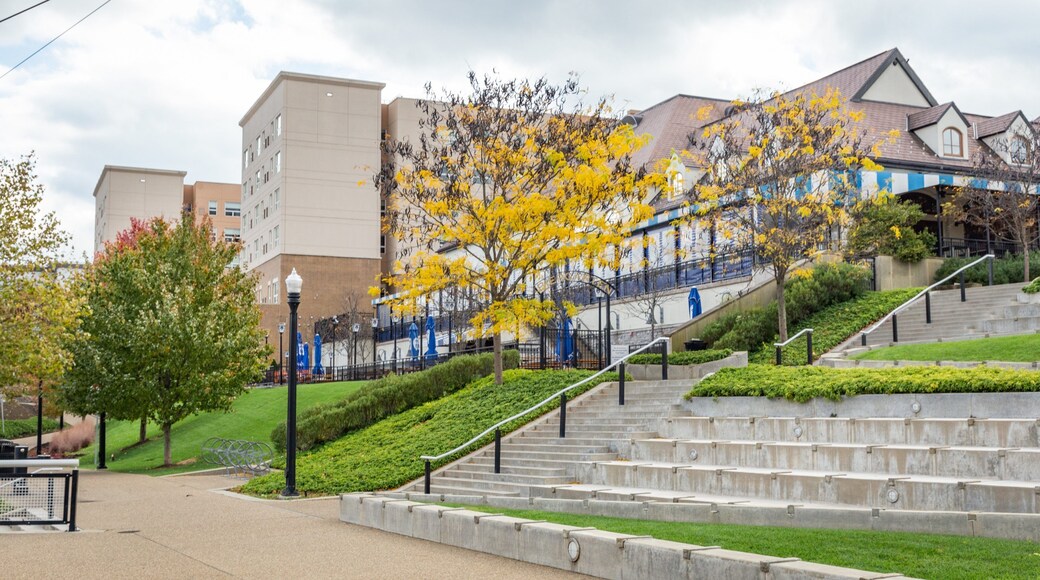 South Side Flats which includes a garden