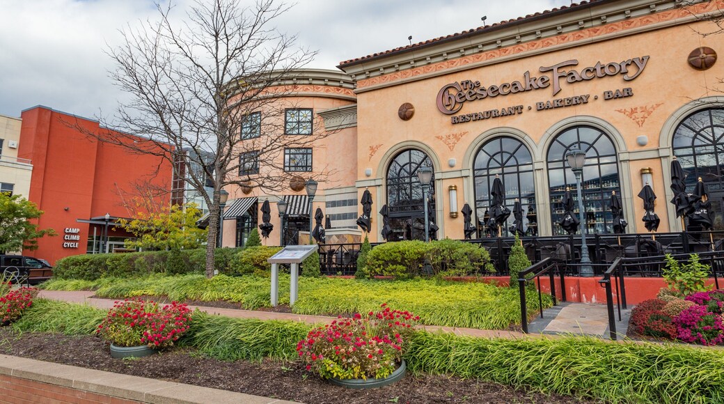 South Side Flats which includes a park, heritage elements and flowers
