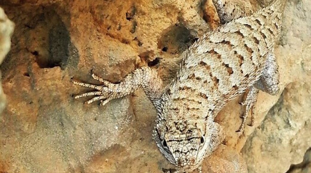 I'm surprised he/she let me get this close.