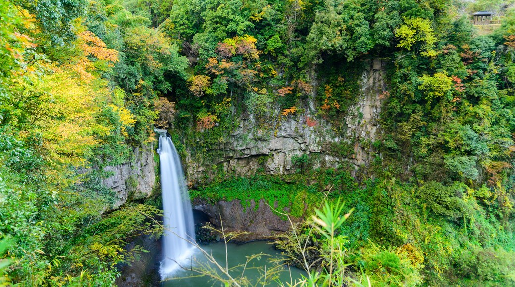 下城滝・紅葉風景
Shimonjo Waterfall / Autumn leaves scenery
「下城滝」と「鍋釜滝」2つの滝
Two waterfalls, "Shimonjo Waterfall" and "Nabekama Falls"
日本(秋)2021年撮影
Taken in 2021 in Japan (Autumn)
九州・熊本県小国町
Oguni Town, Kyushu