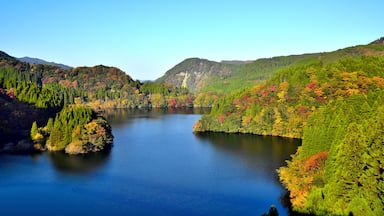 秋景 秘境の まだ見ぬ最高に美しい 秋の絶景紅葉  蜂の巣湖 大分県日田市 熊本県小国町 県境 Japanese landscape Amazing autumn leaves Secret area  Autumn leaves  Beehive lake  Oita Hita City  Oguni Town, Kumamoto Prefecture   Prefectural border