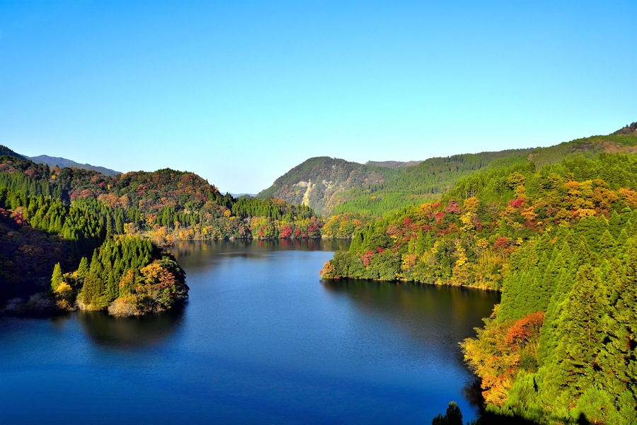 秋景 秘境の まだ見ぬ最高に美しい 秋の絶景紅葉  蜂の巣湖 大分県日田市 熊本県小国町 県境 Japanese landscape Amazing autumn leaves Secret area  Autumn leaves  Beehive lake  Oita Hita City  Oguni Town, Kumamoto Prefecture   Prefectural border
