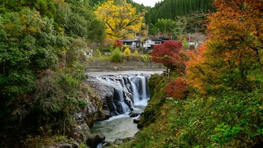 鍋釜滝・紅葉風景
Nabekama Falls / Autumn leaves scenery
「下城滝」と「鍋釜滝」2つの滝
Two waterfalls, "Shimonjo Waterfall" and "Nabekama Falls"
日本(秋)2021年撮影
Taken in 2021 in Japan (Autumn)
九州・熊本県小国町
Oguni Town, Kyushu