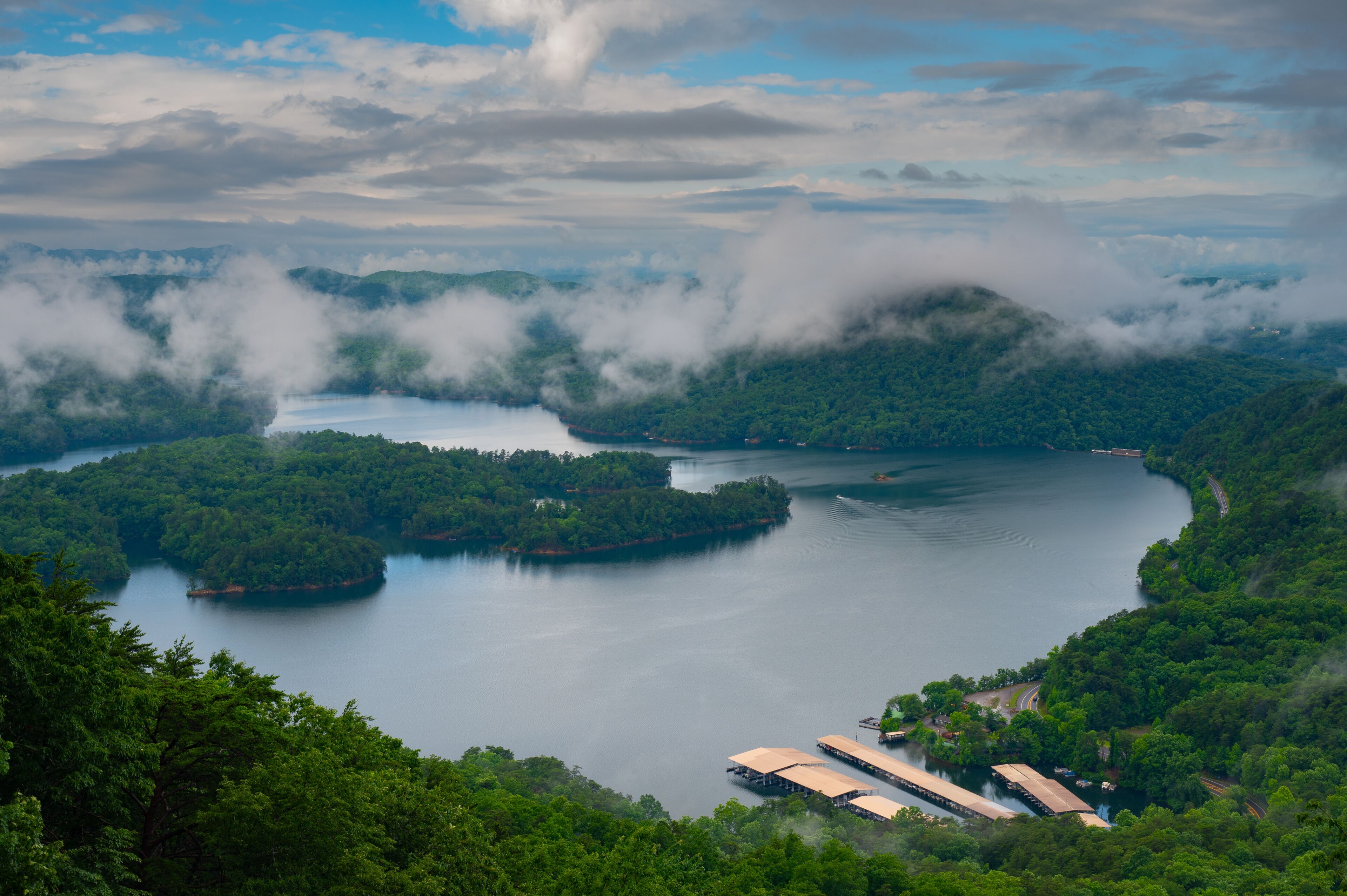 Ocoee