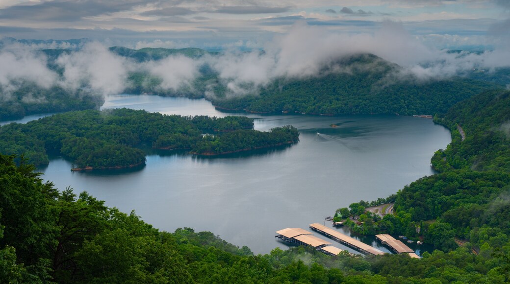 Ocoee