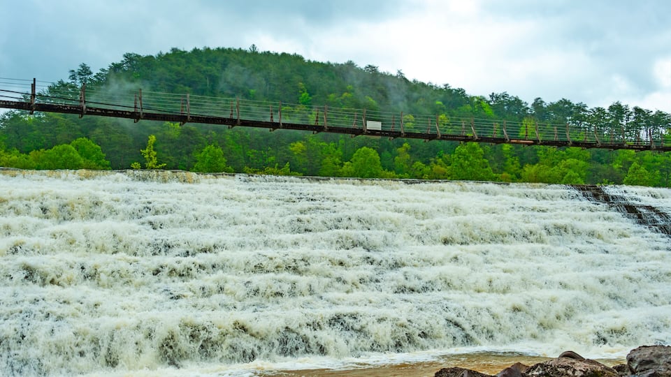 A river with a bridge and a forested hill in the background.