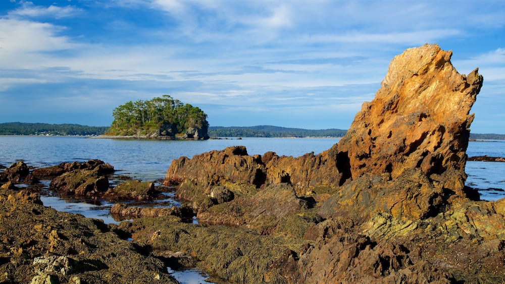 A rocky coastline with a prominent rock formation in the foreground and a small island with dense vegetation in the background.