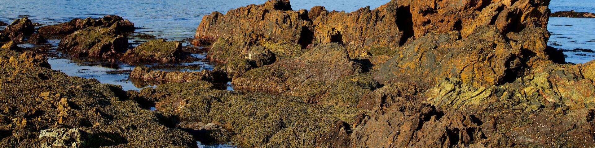 A rocky coastline with a prominent rock formation in the foreground and a small island with dense vegetation in the background.