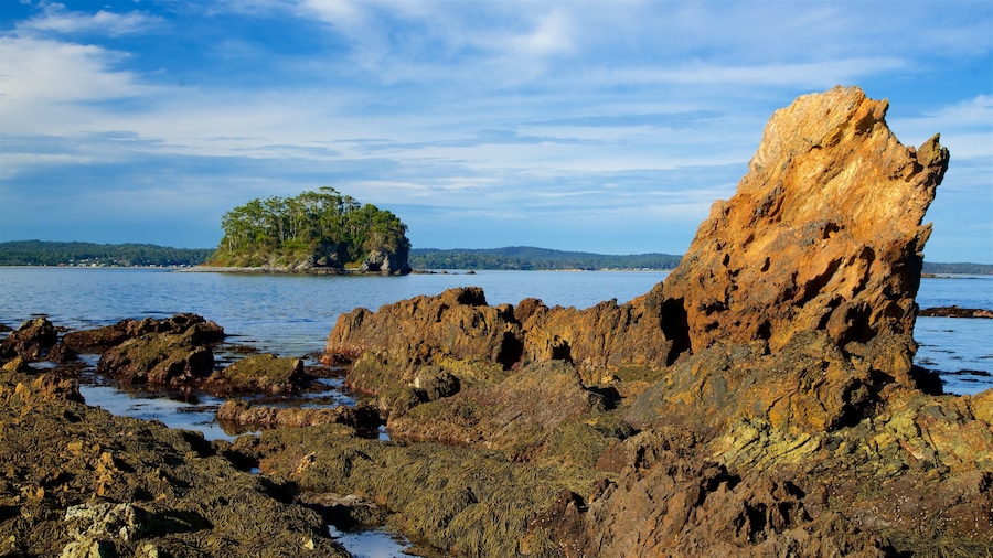 Una costa rocosa con una formación pétrea destacada en primer plano y una pequeña isla con vegetación densa al fondo.