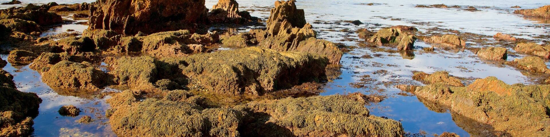 Batehaven which includes general coastal views and rugged coastline