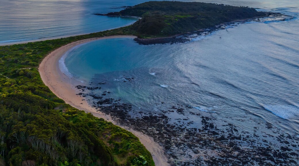 Evans Head