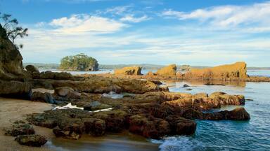 Batehaven which includes rugged coastline and general coastal views