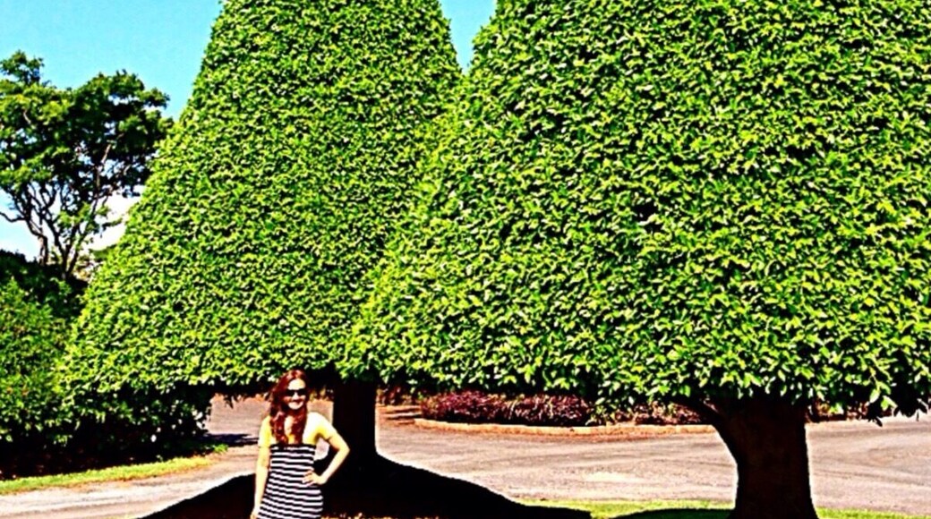 Melaleuca Station Memorial Gardens and Crematorium is situated in a beautiful and tranquil location in the Tweed Valley. It is a complete funeral care centre.
Over 5.5 hectares of beautiful gardens with Australian native plants, magnificent hedging and sculpted trees provide a haven of natural beauty and serenity. A place that allows you the peace to grieve and reflect, a place that honours your loved one. Melaleuca is not only a place of peace. It is an extraordinary memorial to those who have gone before us. It is an important gift for our children, their children, their grandchildren.