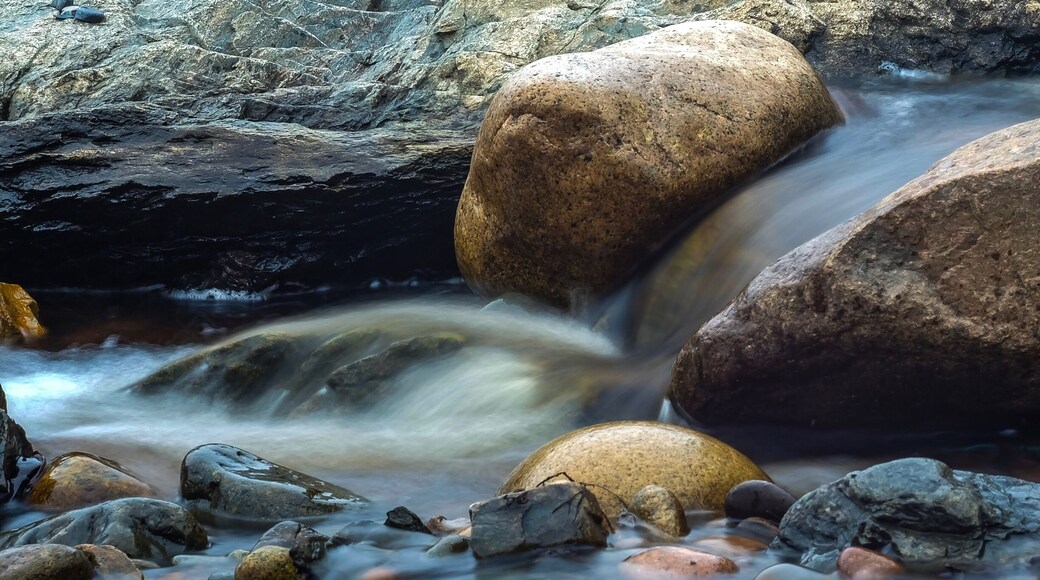 Foggy day at the Clipper Shipp cottages in Pocologan. Stream feeds into the Bay of Fundy.