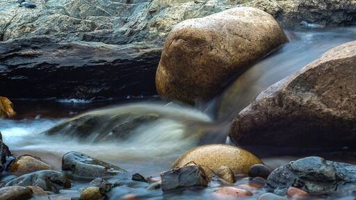 Foggy day at the Clipper Shipp cottages in Pocologan. Stream feeds into the Bay of Fundy.