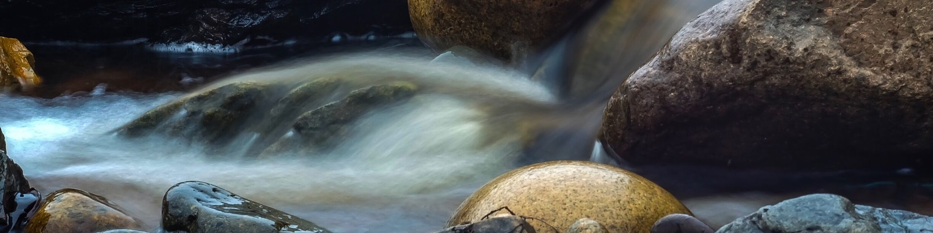 Foggy day at the Clipper Shipp cottages in Pocologan. Stream feeds into the Bay of Fundy.
