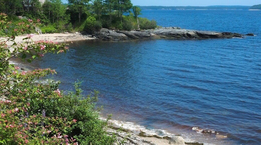 View of the Bay of Fundy from the Clipper Shipp cottages.