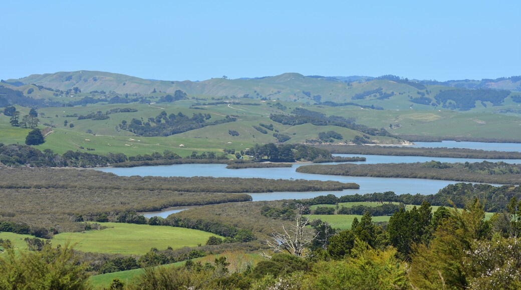 Farmland on west coast of New Zealand with harbor shallows full of mangroves.
