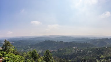 Beautiful view of local valley and mountain in misty near "Linh Quy Phap An" pagoda, Bao Loc town, Lam Dong Province, Vietnam.