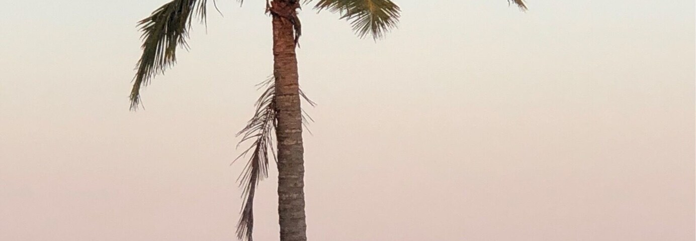Looking out from the Illawong beach resort. One of many beach resorts in the area