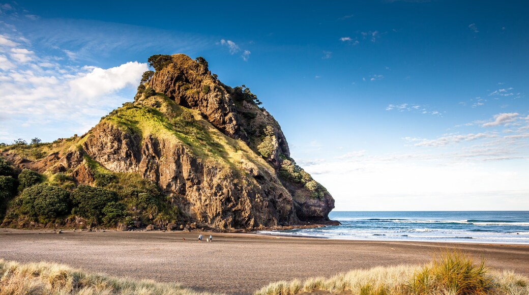 Lion Rock (Piha Beach, New Zealand)