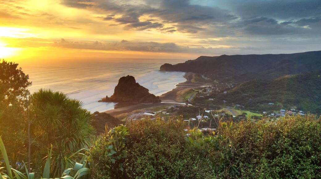 Only about 45 minutes from the busy Auckland CBD, Piha is the perfect place for a day trip. The black sand beaches and Lion Rock are absolutely stunning, especially at the #goldenhour