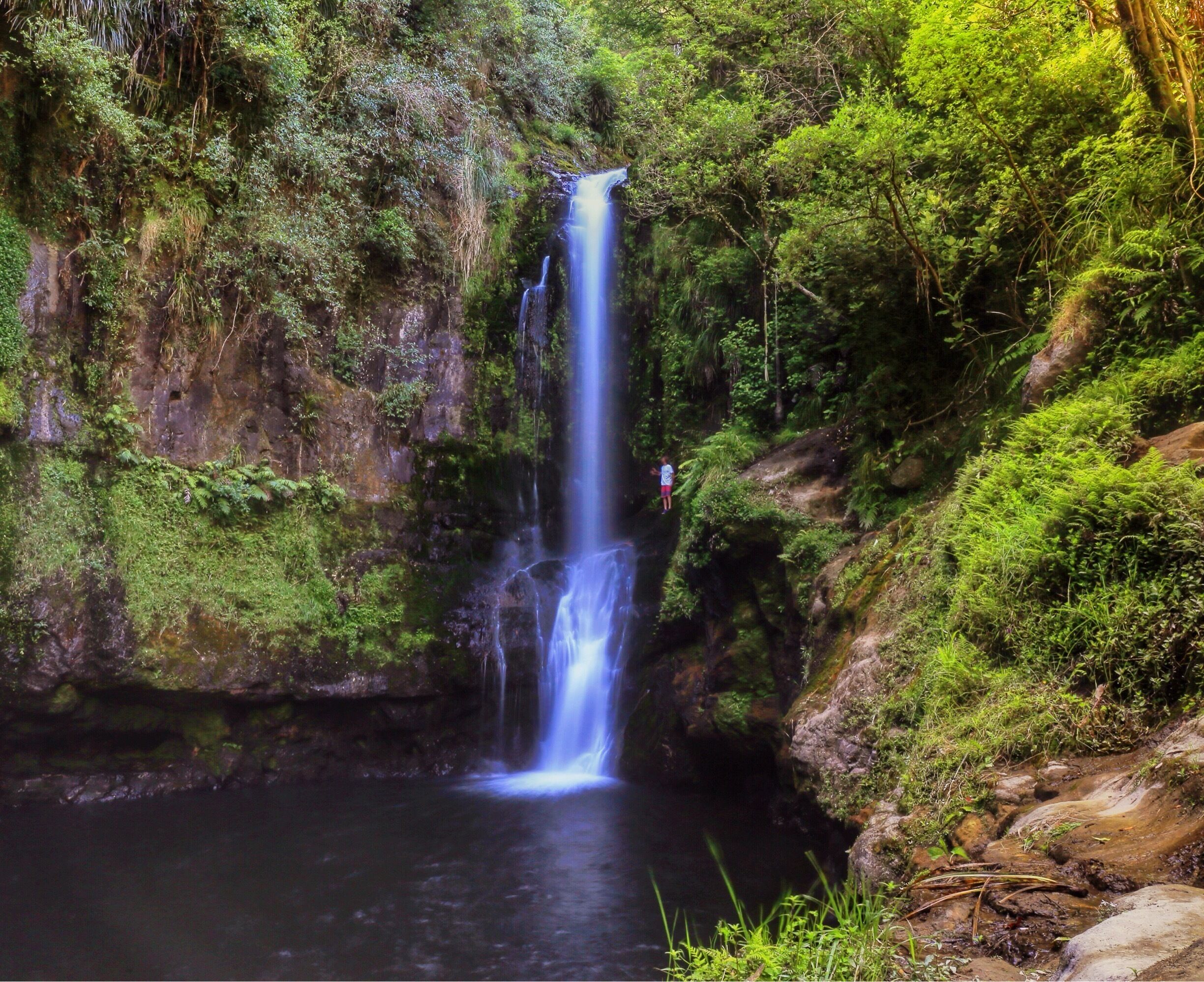 A waterfall cascading into a pool surrounded by lush greenery and rocky terrain.