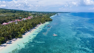 Une plage tropicale aux eaux turquoise et limpides, bordée d’une rangée de bateaux et d’une dense palmeraie.