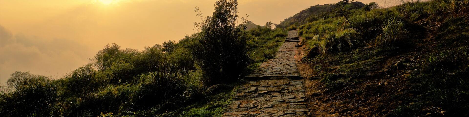 Beautiful sightseeing place Needle Rock view point or suicide point. Hiking place covered with mist, natural forest and mountain landscape.
