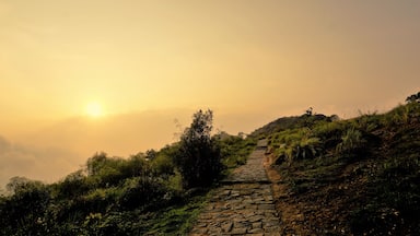 Beautiful sightseeing place Needle Rock view point or suicide point. Hiking place covered with mist, natural forest and mountain landscape.