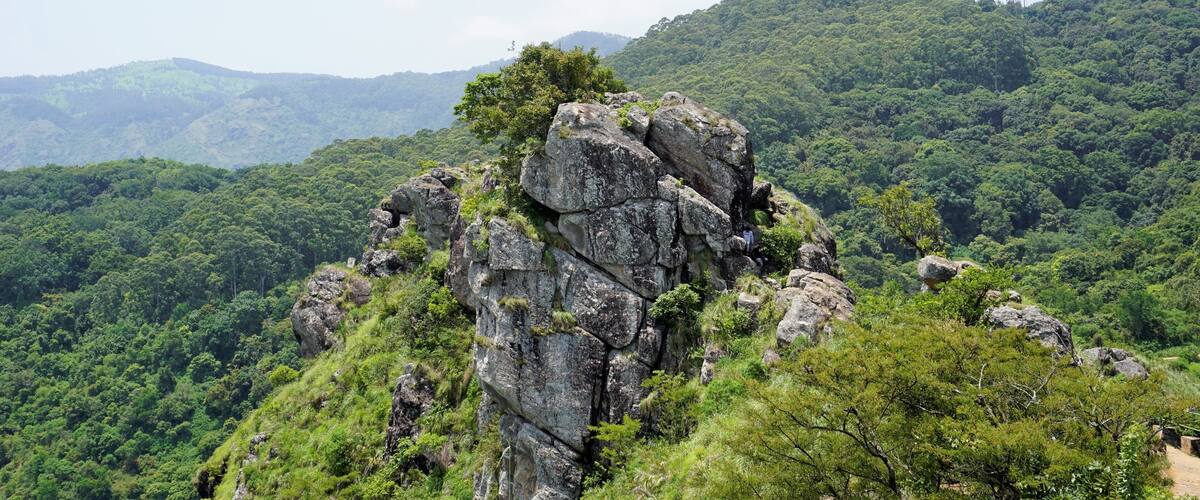 A rocky mountain peak with lush green forest in the background.