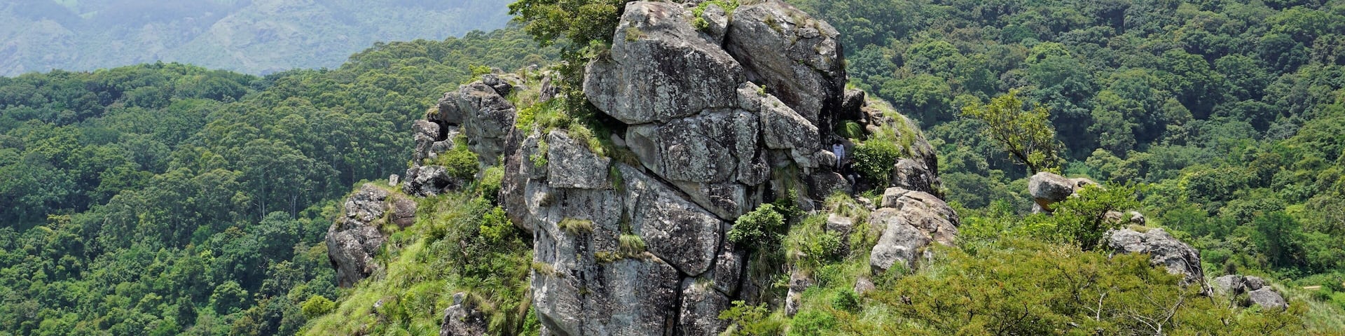 A rocky mountain peak with lush green forest in the background.