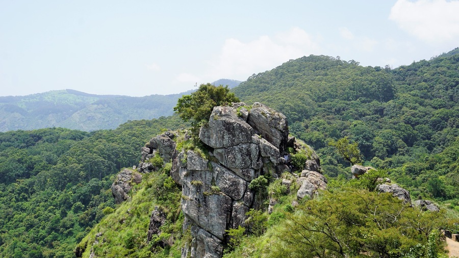 Un pico montañoso rocoso con un denso bosque verde al fondo.