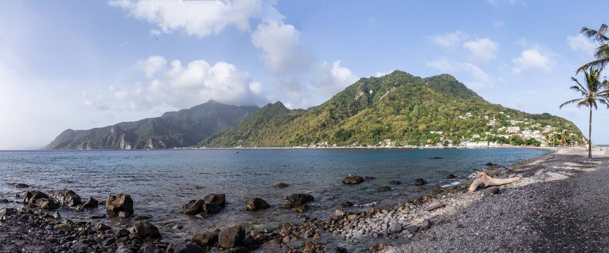 A rocky beach with a palm tree, a mountain, and a coastal town in the background.