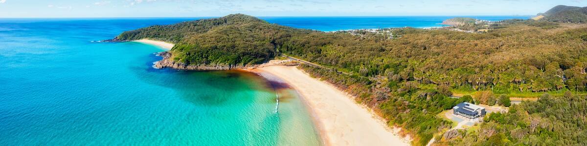 D Eliz bay seagull shelly to bay pan
