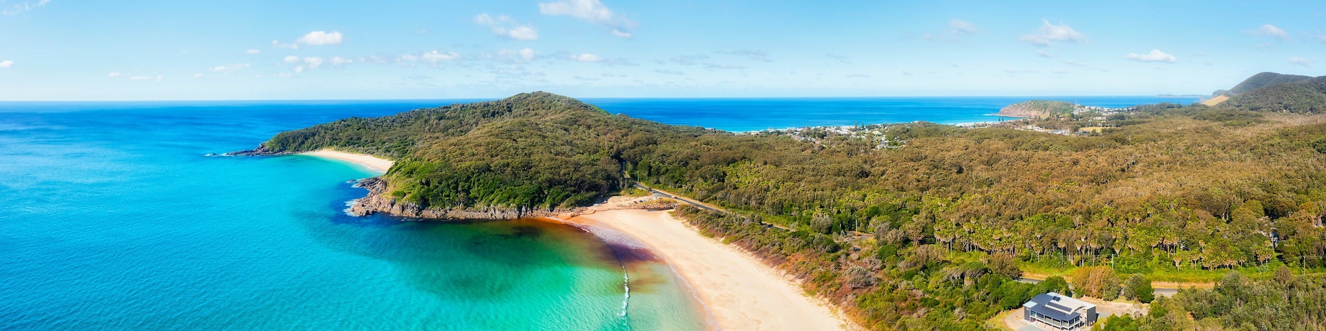 D Eliz bay seagull shelly to bay pan