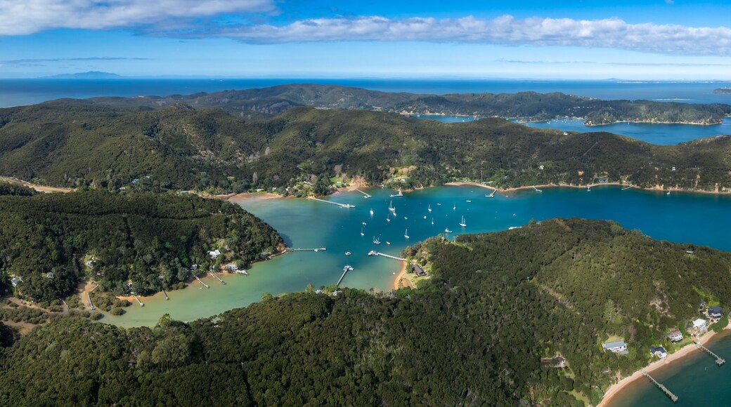 เกาะ Kawau