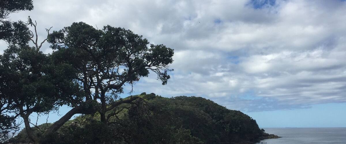 Absolutely beautiful marine reserve. Went snorkelling there twice with Goats Island Dive & Snorkel. Orcas sometimes come into the bay (we missed seeing them by two days 😱)