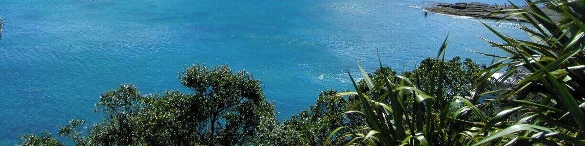 A popular place to visit for a picnic or get your feet wet and go scuba diving or snorkelling in this marine reserve!
#newzealand
