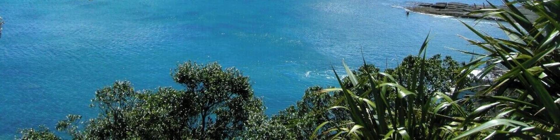 A popular place to visit for a picnic or get your feet wet and go scuba diving or snorkelling in this marine reserve!
#newzealand