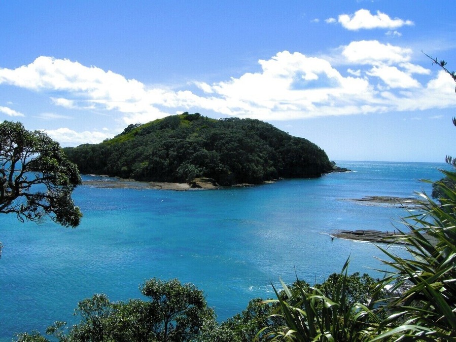 A popular place to visit for a picnic or get your feet wet and go scuba diving or snorkelling in this marine reserve!
#newzealand