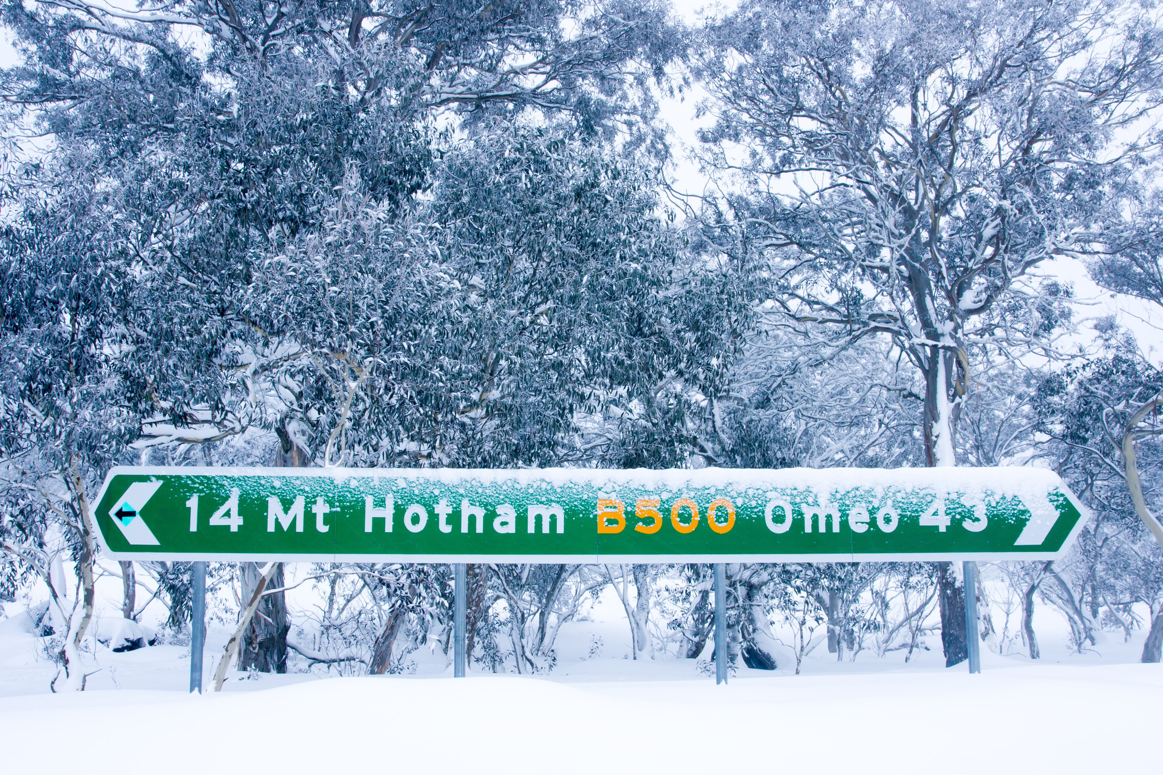 Mt Hotham in Winter