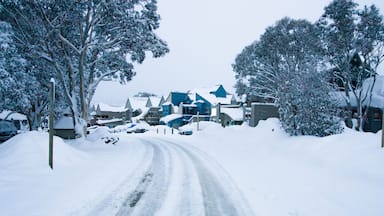 A snow-covered road leading to a cluster of houses with blue roofs.